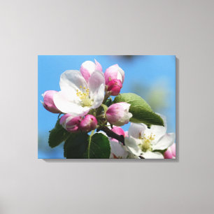 Toile Apple parfait fleurissent WrappedCanvas (le
