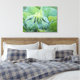 Toile Apportez le bourgeon de tournesol couvert par