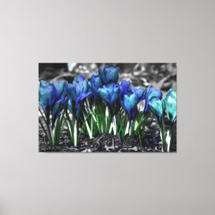 Toile Aqua Blue Crocus Blooms
