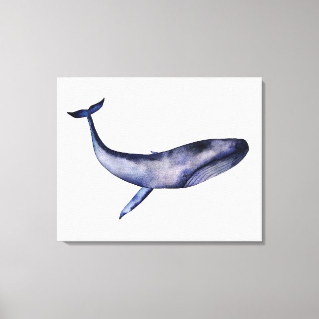 Toile Aquarelle Baleine bleue (Recto)