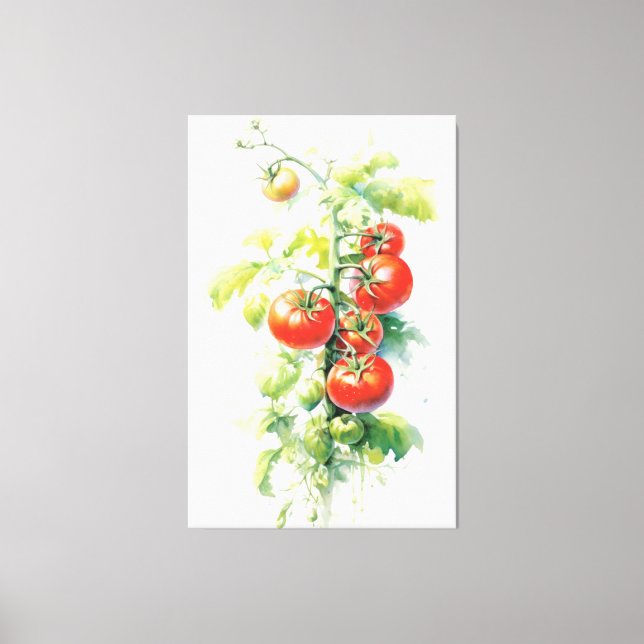 Toile Aquarelle Plante de tomate délice (Recto)