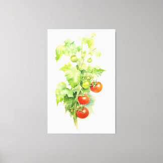 Toile Aquarelle Plante tomate Serenade