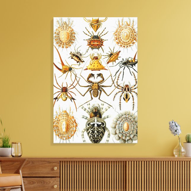 Toile Araignées ou arachnides vintages par Ernst Haeckel (Insitu(Salon))