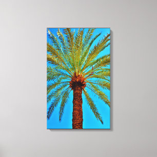 Toile Arborescence des dates saines