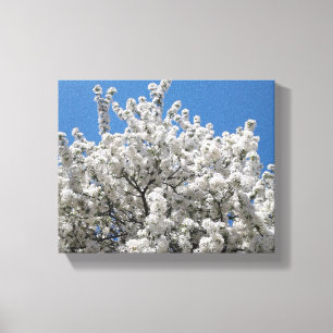 Toile Arbre à pommes de neige printanières en fleurs