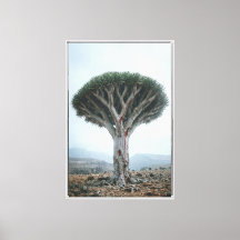 Arbre à Sang de Dragon Nature Mystique Surréalist