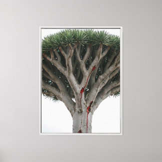 Toile Arbre à Sang de Dragon Paysage Naturel Mystique S