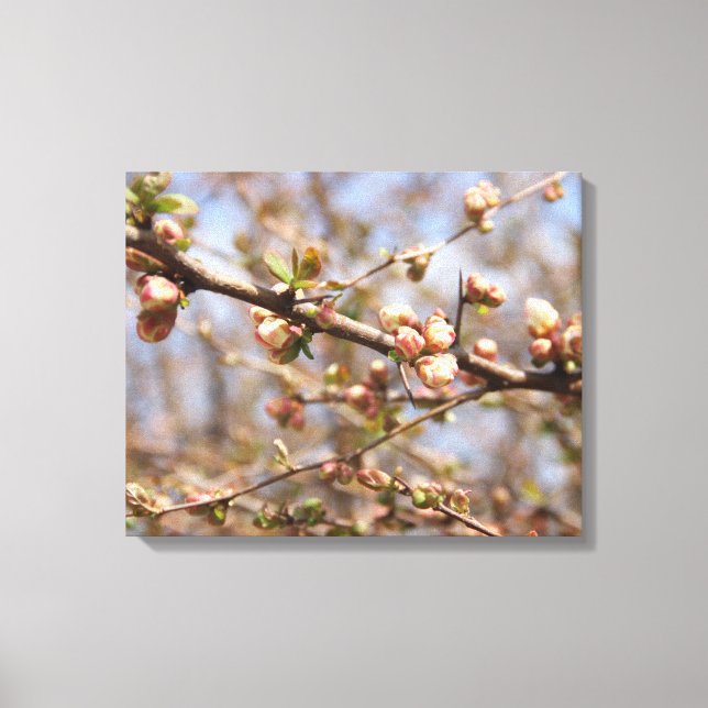 Toile Arbre Apple en fleurs (Recto)
