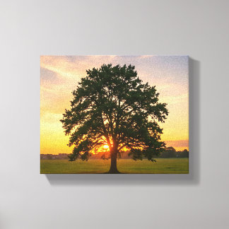 Toile arbre au coucher du soleil