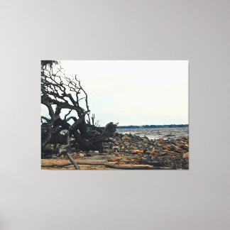 Toile Arbre balayé par le vent au bord d'un rivage roche
