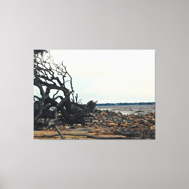 Toile Arbre balayé par le vent au bord d'un rivage roche (Recto)