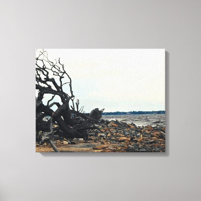 Toile Arbre balayé par le vent au bord d'un rivage roche (Recto)