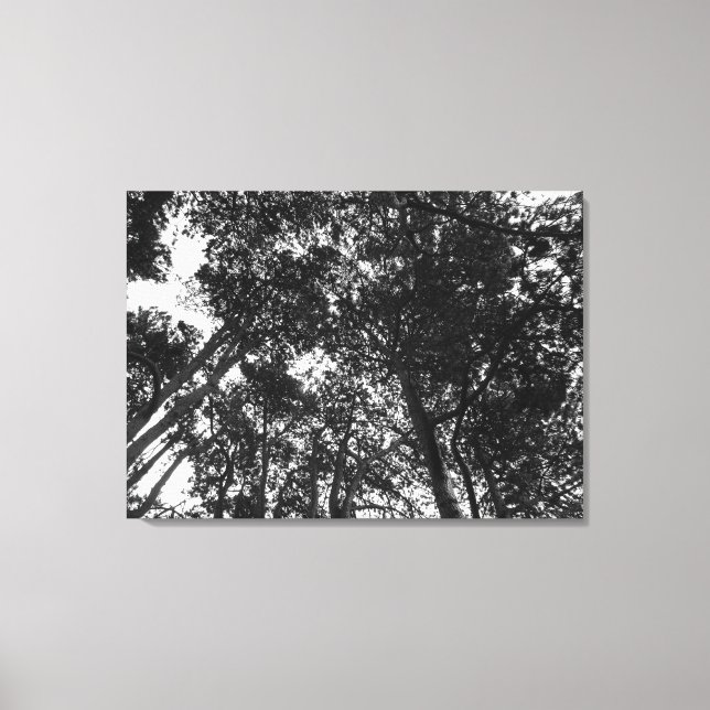 Toile Arbre, Bute Park, Cardiff (Recto)