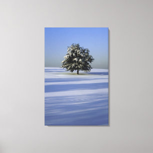 Toile Arbre dans le paysage couvert de neige