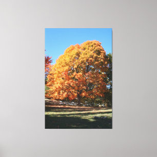 Toile Arbre d'automne brillant – Hubbell, Michigan