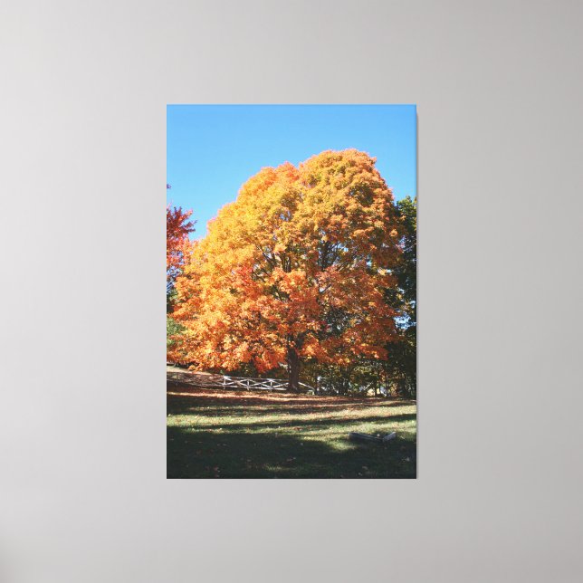 Toile Arbre d'automne brillant – Hubbell, Michigan (Recto)
