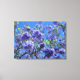 Toile Arbre de Jacaranda