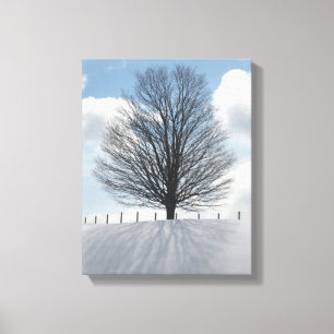 Toile Arbre d'hiver dans le Michigan Photo Canvas Art Im