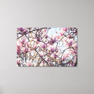 Toile Arbre en fleurs de Magnolia