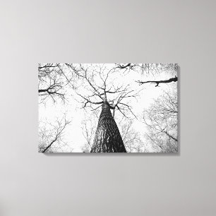 Toile Arbre en noir et blanc