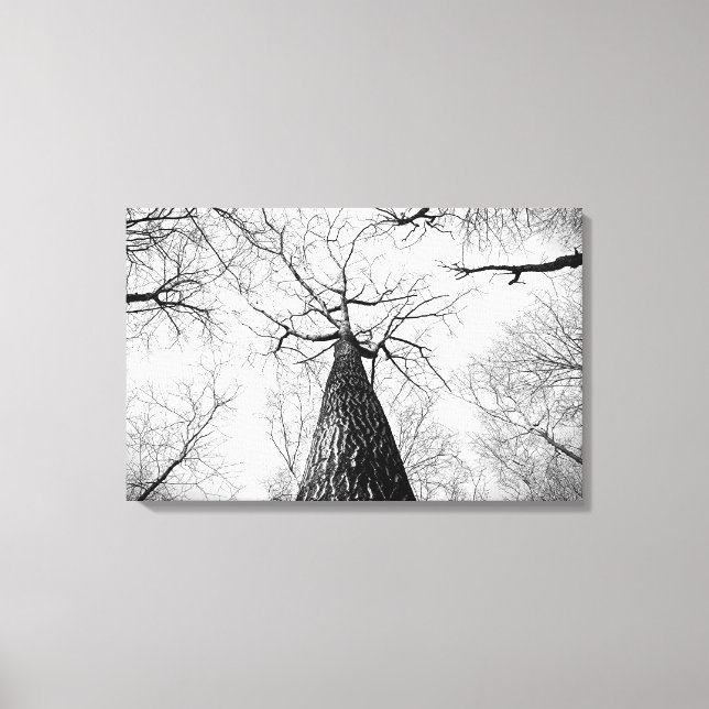 Toile Arbre en noir et blanc (Recto)