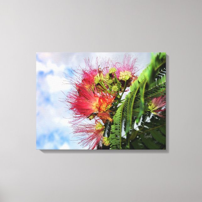 Toile Arbre Fleurissant Mimosa Rose  (Recto)
