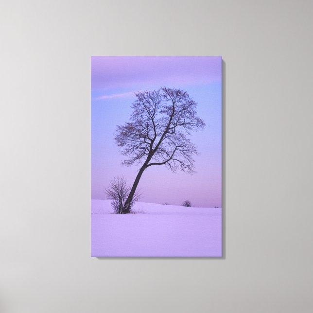 Toile Arbre penché dans un champ enneigé; Comté de Chipp (Recto)