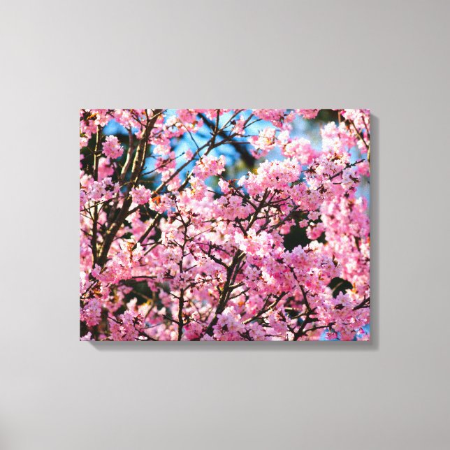 Toile Arbre Sakura à couper le souffle en fleurs roses d (Recto)