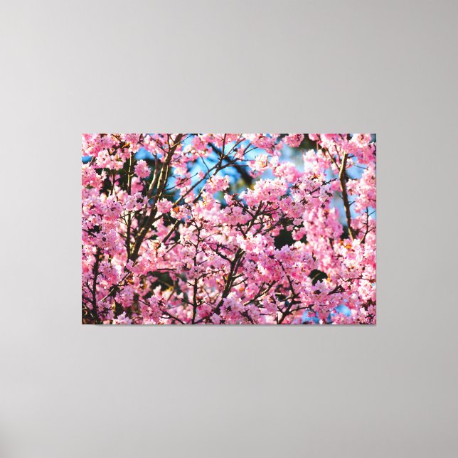 Toile Arbre Sakura à couper le souffle en fleurs roses d (Recto)
