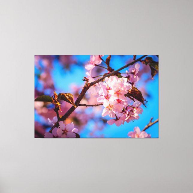 Toile Arbre Sakura en Fleurs Roses (Recto)
