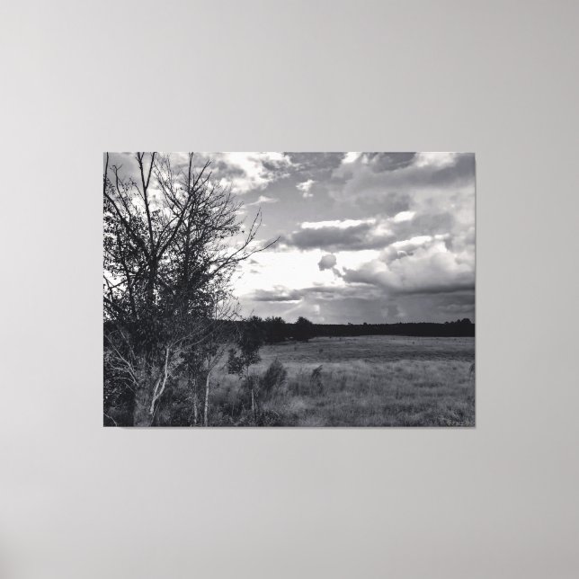 Toile Arbre stérile sous un ciel nuageux (Recto)