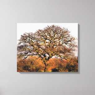 TOILE ARBRES