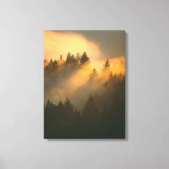 Toile Arbres à séquoias dans le brouillard côtier, Comté (Recto)