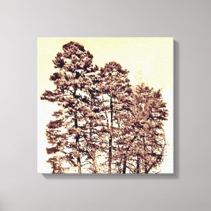 Toile Arbres au soleil