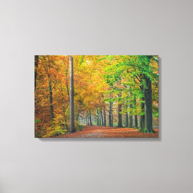 Toile Arbres avec feuillage d'automne dans une forêt (Recto)