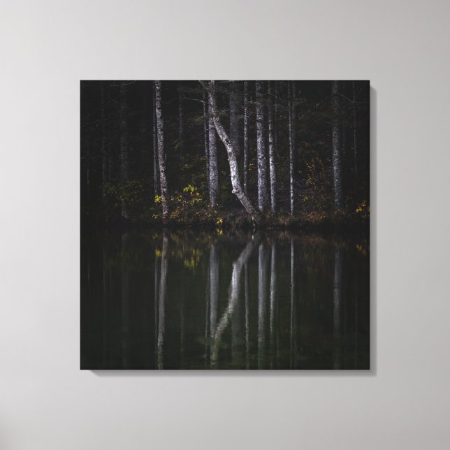 Toile Arbres blancs se reflétant dans le lac (Recto)