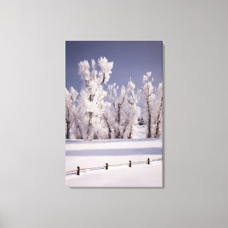 Toile Arbres couverts de gel et clôture, Colorado