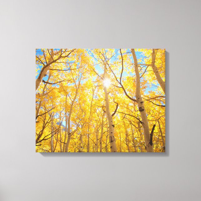 Toile Arbres d'Aspen | Sierra Nevada Mountains, CA (Recto)