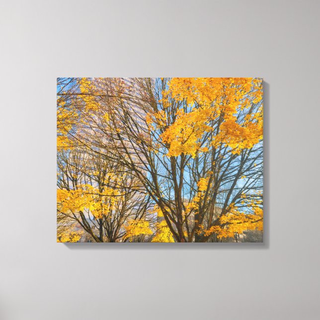 Toile Arbres d'automne dans le paysage urbain (Recto)
