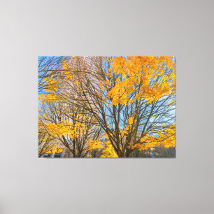 Toile Arbres d'automne dans le paysage urbain