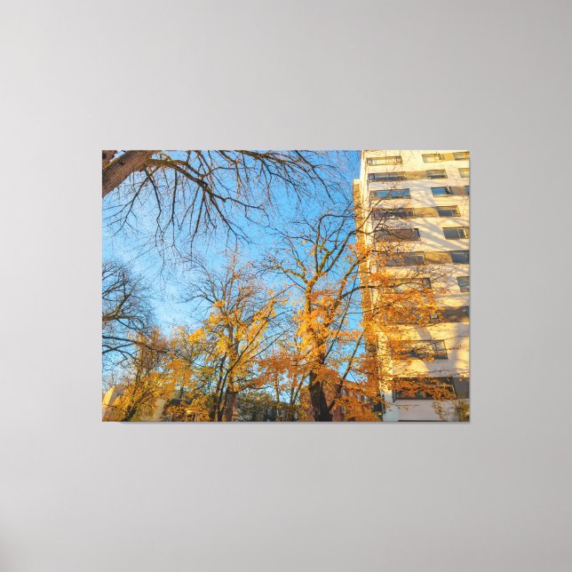 Toile Arbres d'automne et façade de bâtiment (Recto)