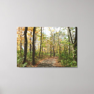 Toile Arbres d'automne sur le sentier de marche Grande t
