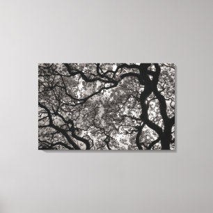Toile Arbres de Magnolia en fleurs 02