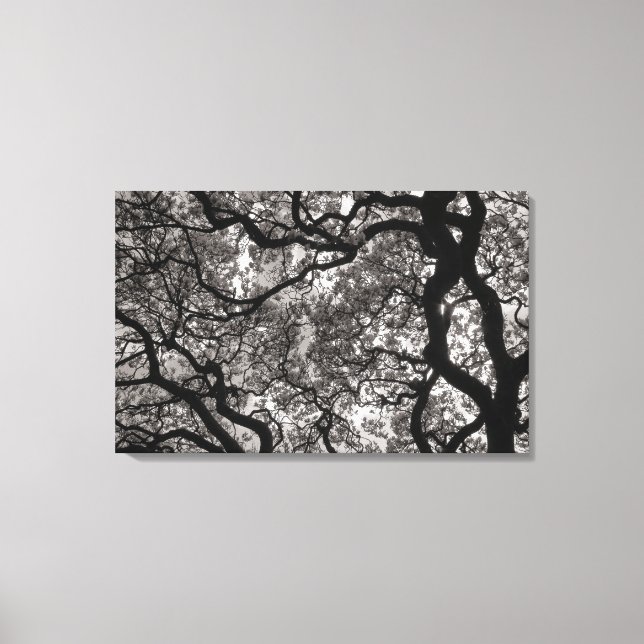 Toile Arbres de Magnolia en fleurs 02 (Recto)