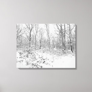 Toile Arbres de Milou dans le Poconos