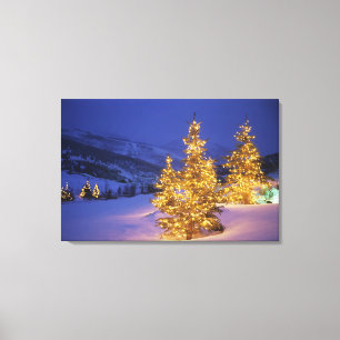 Toile Arbres de Noël, Park City, montagnes de Wastch,