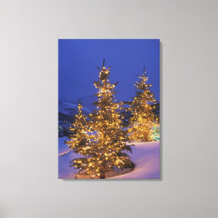 Toile Arbres de Noël, Park City, montagnes de Wastch, 2