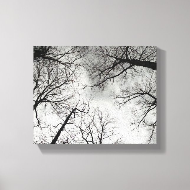 Toile Arbres d'hiver Ciel nuageux (Recto)