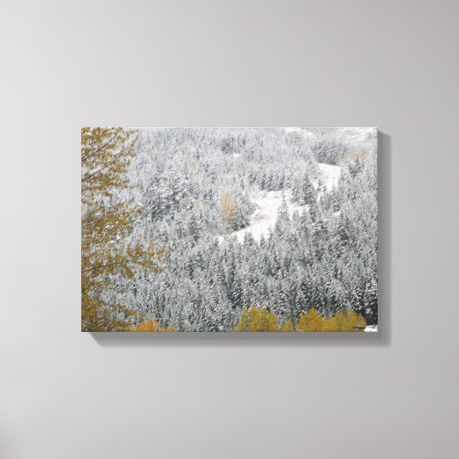Toile Arbres enneigés à Whistler, C.-B. (Recto)