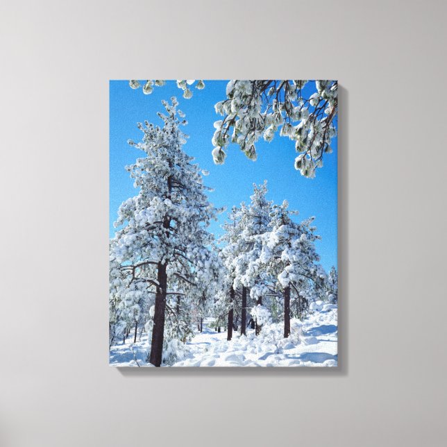Toile Arbres enneigés dans les montagnes de Laguna (Recto)